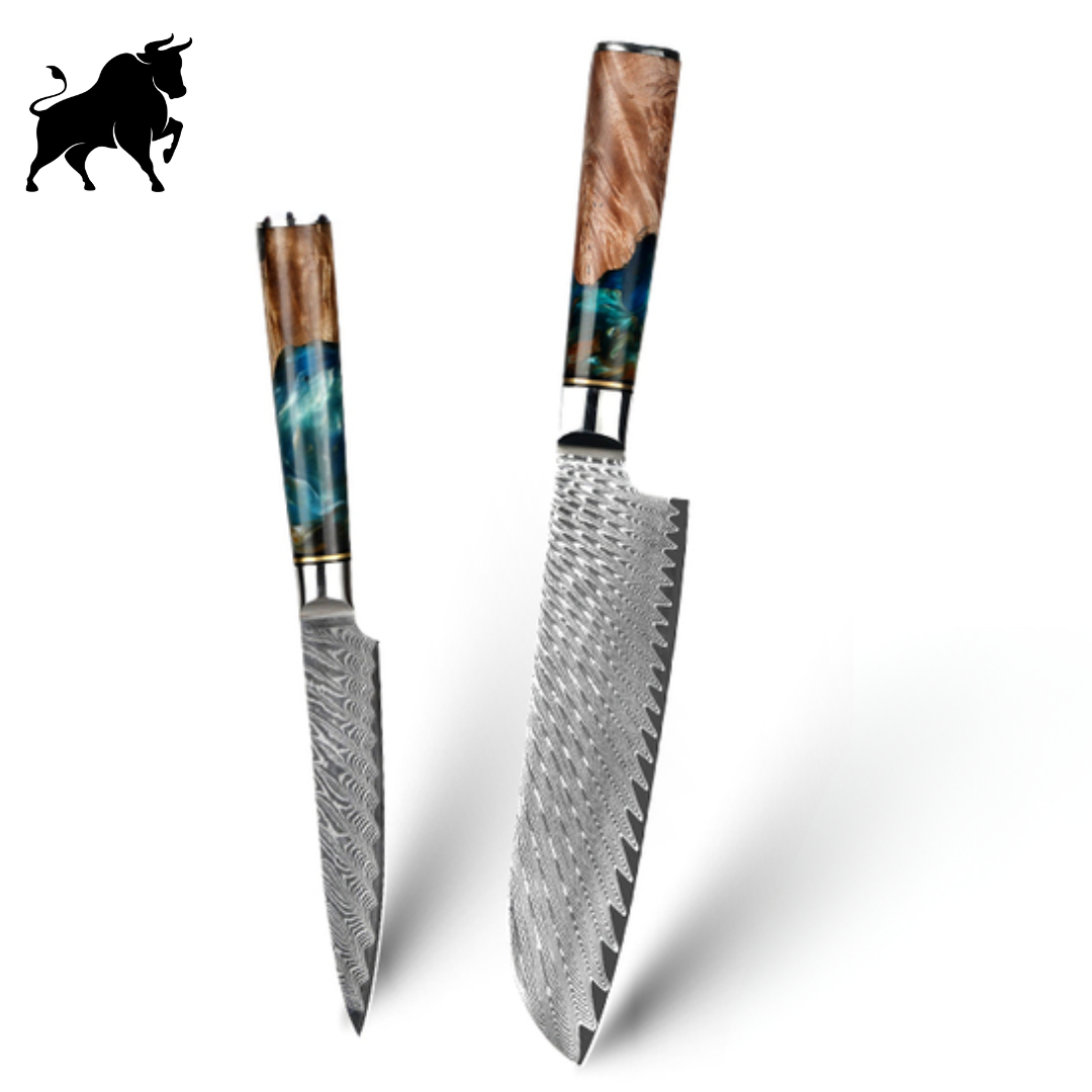 Set of 2 Damascus Steel Knives