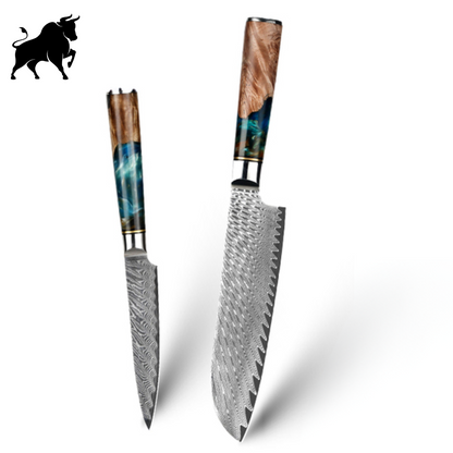 Set of 2 Damascus Steel Knives