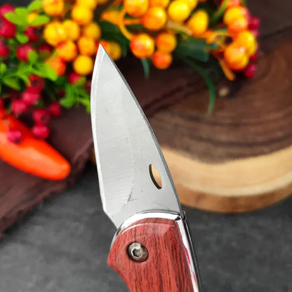 Compact Red Folding Knife